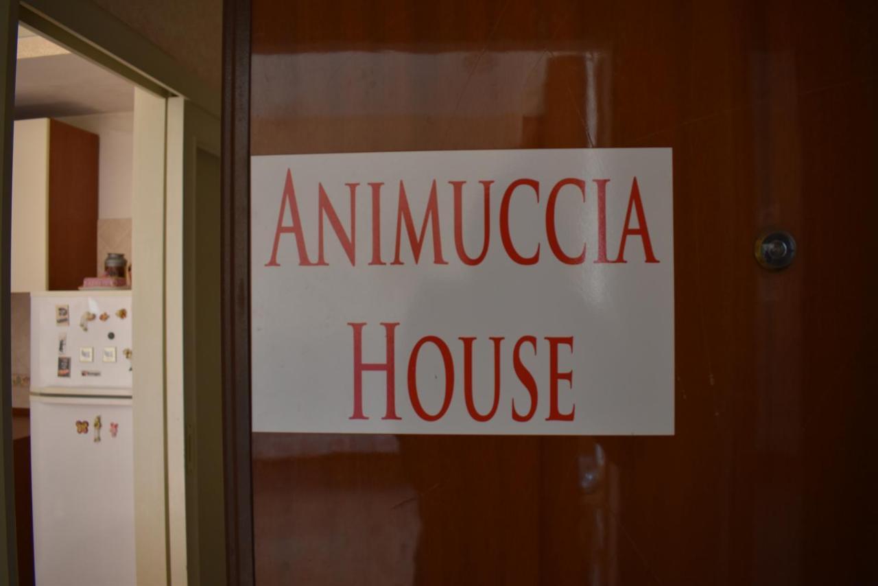 Casa Vacanze "Animuccia House" Roma 외부 사진